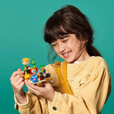 LEGO Minecraft 21164