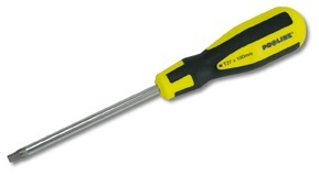 Kaçavidë Proline TORX SECURITY T30, 100mm 