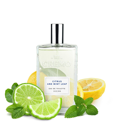 Set Xhel për dush 473 ml + Eau de Toilette 100 ml