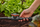Valvul rregulluese Gardena Micro-Drip, 13 mm, gri portokalli