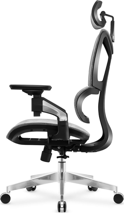Karrige zyre Mark Adler Expert 8.5, ergonomike, gri