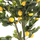 Bimë sintetike Pema Limoni Φ15x12x170cm (HM4020)