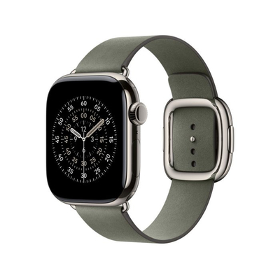Apple Watch 42mm Modern Buckle, Sage Gray Modern Buckle, Medium