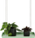Tabaka varëse për lule Esschert Design Hanging Plant Tray Rectangular S, drejtkëndore, metal, jeshile