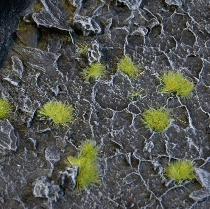 Tufë bari dekorativ Gamers Grass Special Tufts, 2mm, ngjyrë e gjelbër e hapur