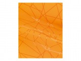 Qese dhuratash Segments, 25x40cm, plastikë, shumëngjyrëshe