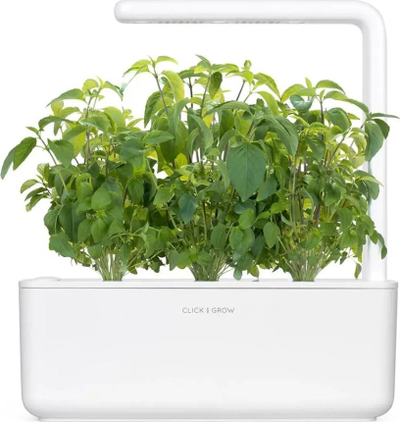 Kapsula me bimë Click and Grow Thai Basil, set me 3 copë, për kopshtin inteligjent