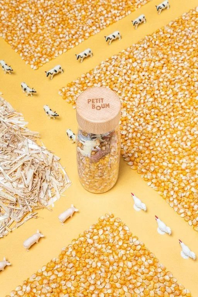 Lodër ndijore Petit Boum Spy Bottle Farm, Montessori, 3m+, me ngjyra shumë