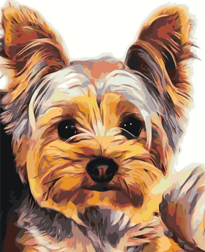 Set pikturimi me numra Ideyka York, 30x40cm, për të rritur dhe fëmijë, shumëngjyrësh