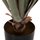 Bimë dekorative sintetike sisal agave Φ13.5×13–76 cm (HM7985)