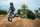 Motor elektrik për fëmijë Razor SX350, 24V, 22 km/h, jeshil