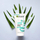 Garnier Skin Naturals Пена (Hyaluronic Aloe), 150 мл