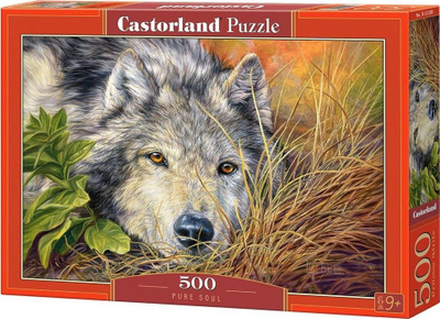 Puzzle Castorland, 500 pjesë