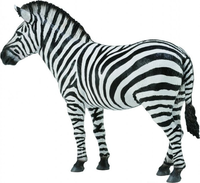Figurë lodër Collecta Common Zebra 004-88830, kafshë plastike, shumëngjyrëshe