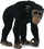 Figurinë shimpanze femër Collecta (004-88493)