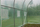 Serë kopshti Saska Garden Greenhouse 300x200x200 cm, material PE, jeshile