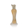 Eau De Parfum Paris Hilton Gold Rush