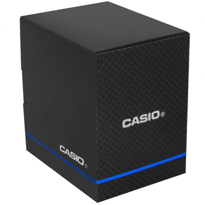 Ora dore Casio Collection MTP-1302PD-7BVEF, kuarc, për meshkuj, argjendtë