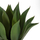 Bimë dekorative sintetike broadleaf agave Φ15×12.5–62 cm (HM7998)