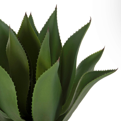 Bimë dekorative sintetike broadleaf agave Φ15×12.5–62 cm (HM7998)