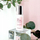 Serum qetësues Dr.HEDISON Jin Jung, për lëkurë të yndyrshme, 50ml