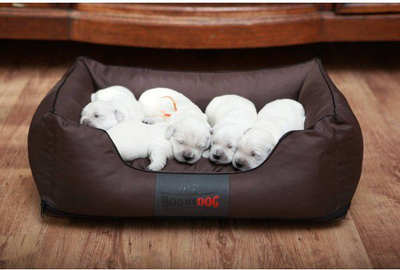 Shtrat për qen Hobbydog Bed Comfort XL, codura e fortë, kafe me bezhë