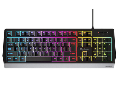 Tastierë Gaming Natec Rhod 300, USB, e hirtë / e zezë