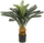 Bimë artificiale Emerald Cycas Revoluta, 80cm, me vazo, jeshile