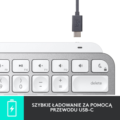 Mini tastierë Logitech MX Keys, US, e hirtë