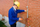 Njehsor i sistemit elektrik Sonel MPI-520, shumëfunksional (WMPLMPI520)