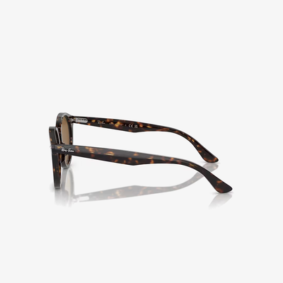 Ray-Ban RB7680S 902/33 51