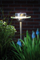 Ndriçues diellor tokësor Paulmann Solar Ufo LED, 0.2W, IP44, inoks