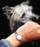Orë Tissot T-Trend Lovely T058.009.11.031.00