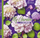 Bllok vizatimi Fresh Sketchbook Lilacs, 200x200mm, 100g/m², 36 fletë