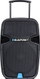 Sistem audio Blaupunkt PA15, 700 W, i zi