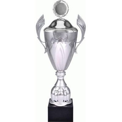 Kupë trofe Tryumf Golden 4127/DP, metal, me kapak, argjendi
