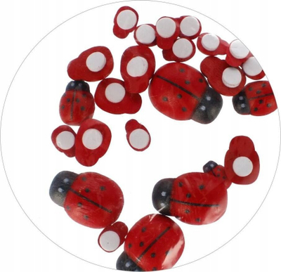 Sticker-a druri për zbukurim Craft with Fun Wooden Ladybirds, set me 24 copë, shumëngjyrëshe