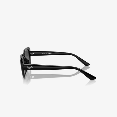 Ray-Ban RB4421D 667787 56