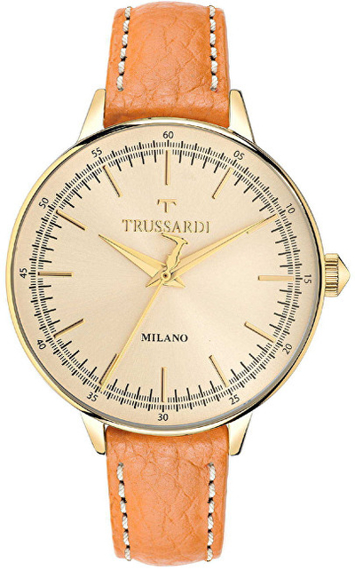 Orë dore Trussardi No Swiss T-Evolution R2451120501