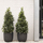 Vazo lulesh Capi Egg Planter Nature Row, 35x34cm, për oborr e tarracë, e zezë