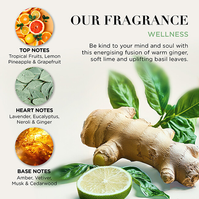 Set Baylis & Harding Ginger, Lime & Basil, xhel dushi, 100 ml + krem për duar, 30 ml + sapun, 25 g + gjalpë për trup, 50 ml