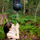 Dush portativ Sea To Summit Pocket Shower, 10L, najlon 70D, i zi