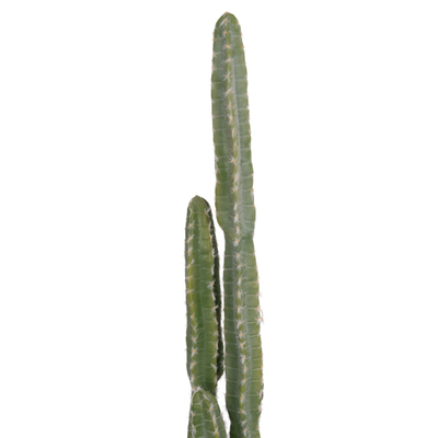 Bimë dekorative sintetike HM4741, kaktus me vazo, 141 cm, jeshile