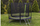 Trampolinë për kopsht Lean Sport Pro, 8 FT 244 cm, me rrjetë mrena, jeshile