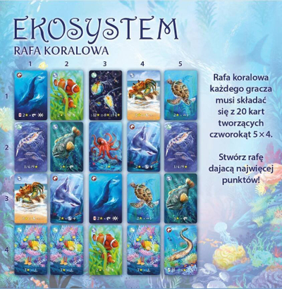 Lojë me letra Nasza Księgarnia Ecosystem 2 Coral Reef, familjare, version polak