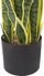 Bimë artificiale dekorative Snake Plant, 63 cm, me vazo, e gjelbër