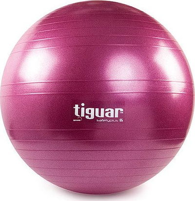 Top fitnesi Tiguar Safety Plus Ball 65 cm TI-SP0065S, antishpim, gri