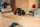 Set lodër Lego Technic Monster Jam Grave Digger 42219, mekanizëm pull back, për fëmijë 7+
