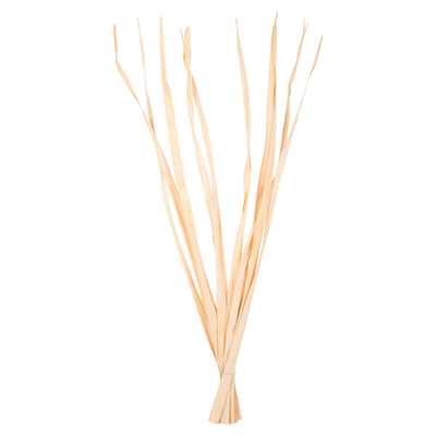 Dekor buqetë gjethe të thata 120Hcm (HM7964)
