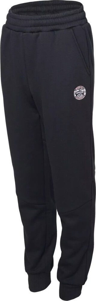 Trenerka për fëmijë Iguana Warwick TG Jr Sweatpants, pambuk me elastan, me xhepa anësorë, gri